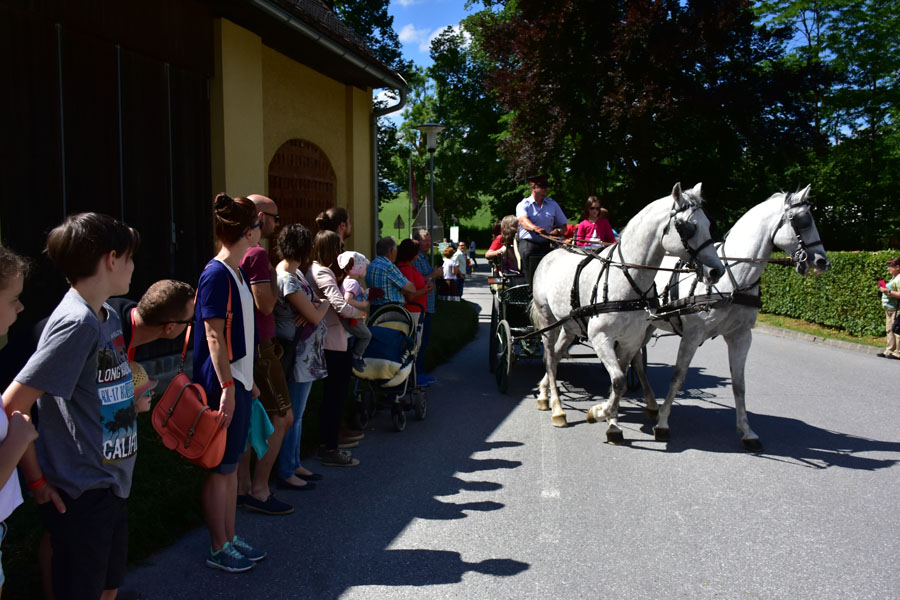 170618 lak gemeinschaftstag lipizzanergestuet piber-107
                                                