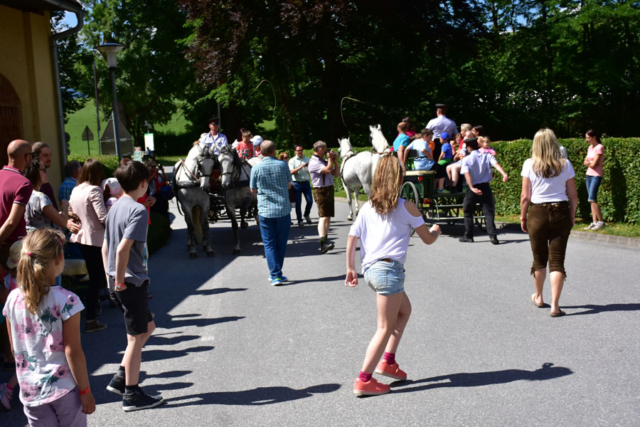 170618 lak gemeinschaftstag lipizzanergestuet piber-108
                                                