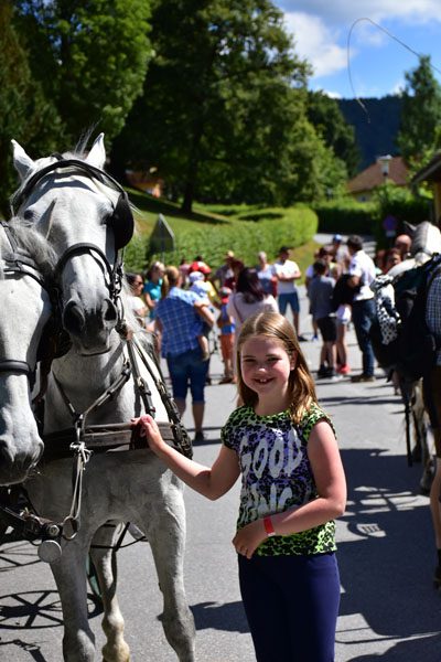 170618 lak gemeinschaftstag lipizzanergestuet piber-109
                                                