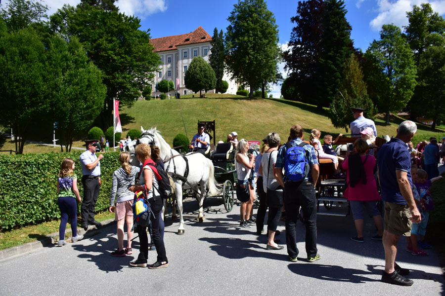 170618 lak gemeinschaftstag lipizzanergestuet piber-110
                                                