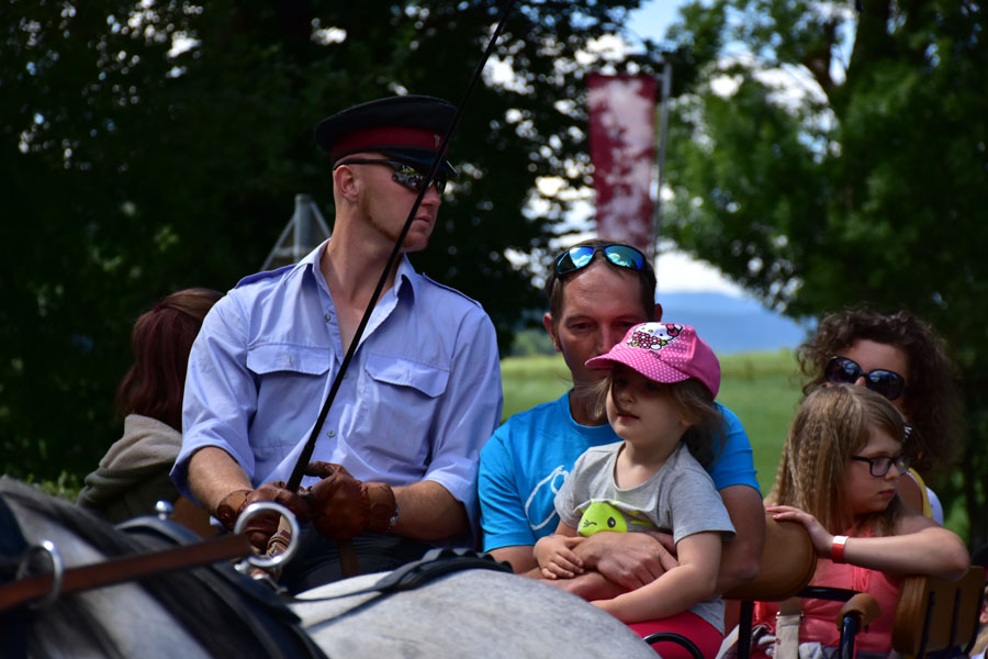 170618 lak gemeinschaftstag lipizzanergestuet piber-117
                                                