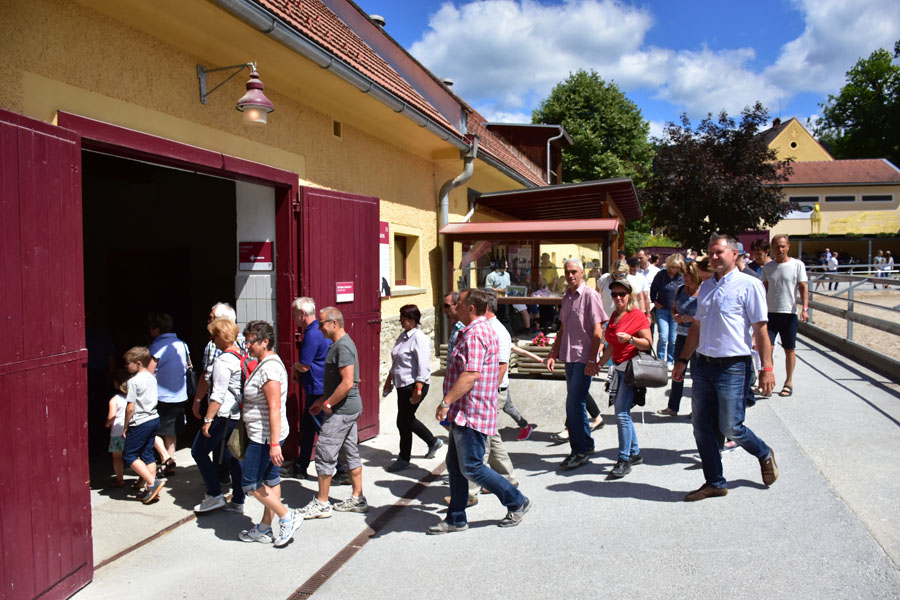 170618 lak gemeinschaftstag lipizzanergestuet piber-120
                                                