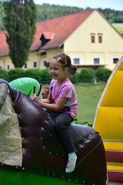 170618 lak gemeinschaftstag lipizzanergestuet piber-151
                                                