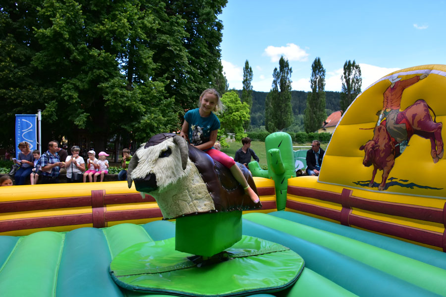 170618 lak gemeinschaftstag lipizzanergestuet piber-155
                                                