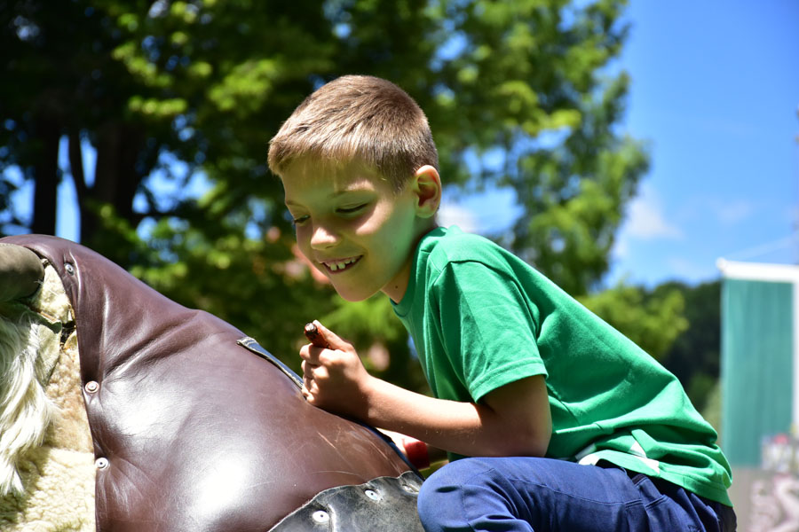 170618 lak gemeinschaftstag lipizzanergestuet piber-160
                                                