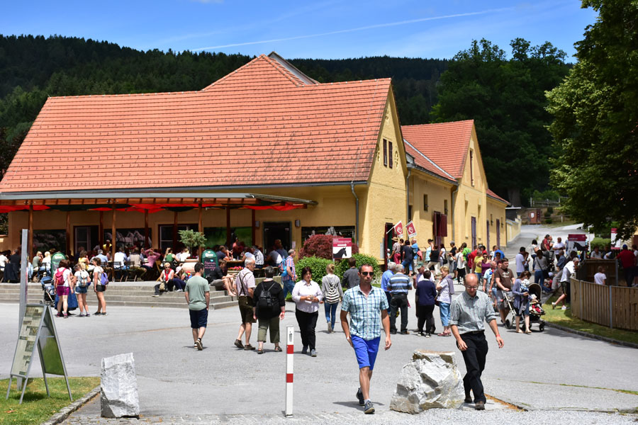 170618 lak gemeinschaftstag lipizzanergestuet piber-166
                                                