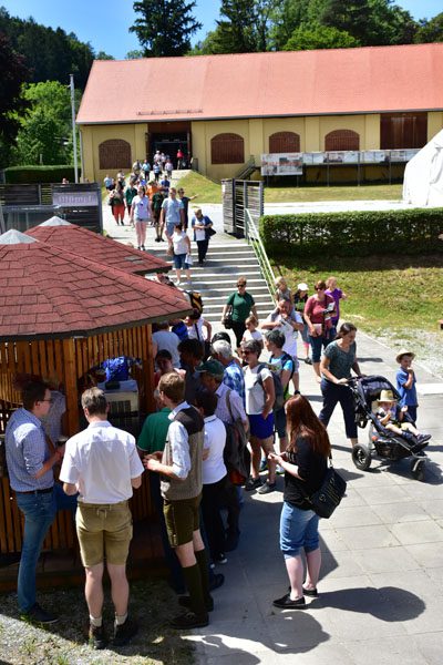 170618 lak gemeinschaftstag lipizzanergestuet piber-185
                                                