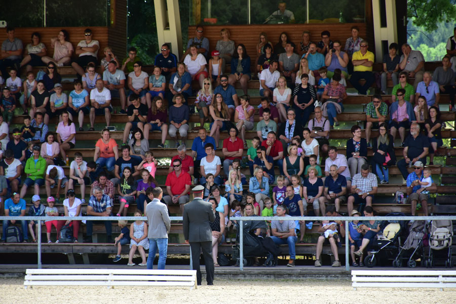 170618 lak gemeinschaftstag lipizzanergestuet piber-187
                                                