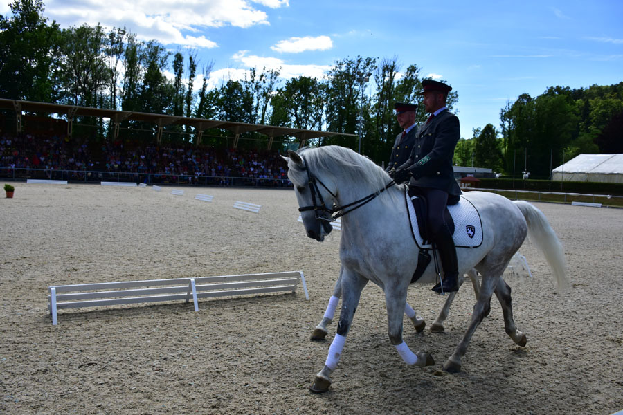 170618 lak gemeinschaftstag lipizzanergestuet piber-191
                                                