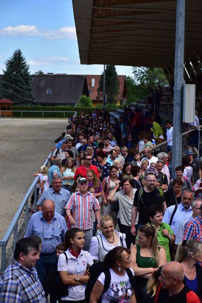 170618 lak gemeinschaftstag lipizzanergestuet piber-220
                                                