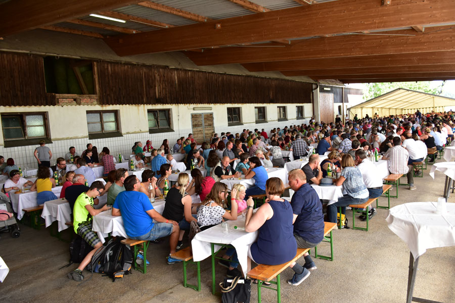 170618 lak gemeinschaftstag lipizzanergestuet piber-244
                                                