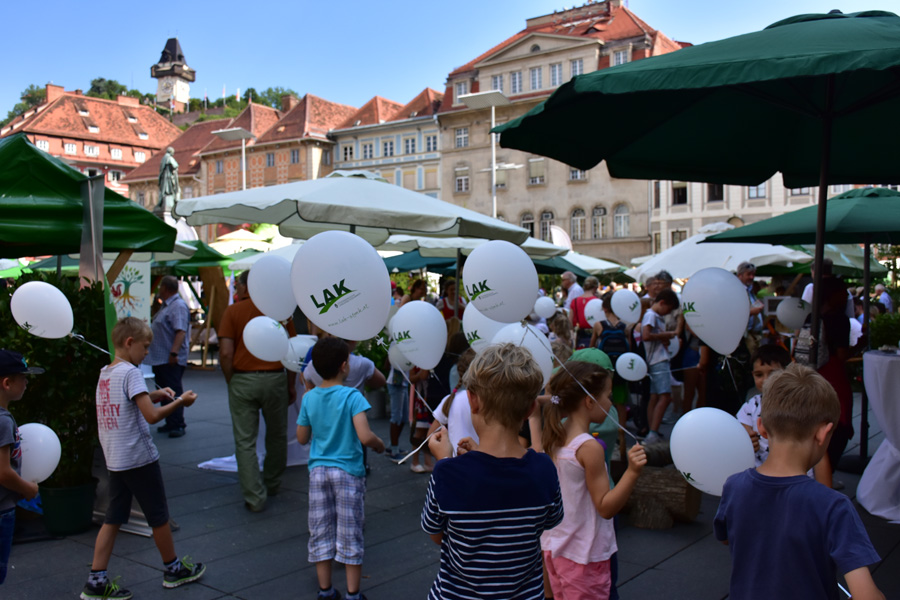 170621 lak waldfest graz 2017 109
                                                