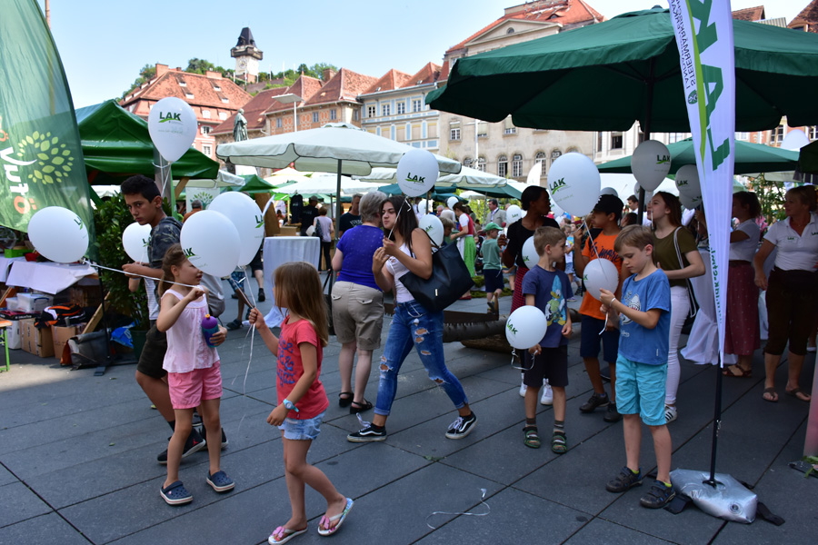 170621 lak waldfest graz 2017 111
                                                