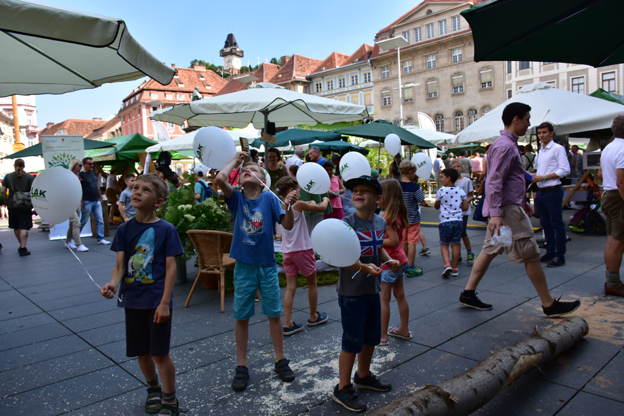 170621 lak waldfest graz 2017 113
                                                