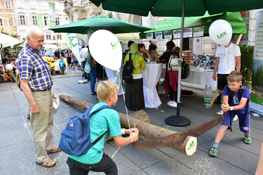 170621 lak waldfest graz 2017 119
                                                