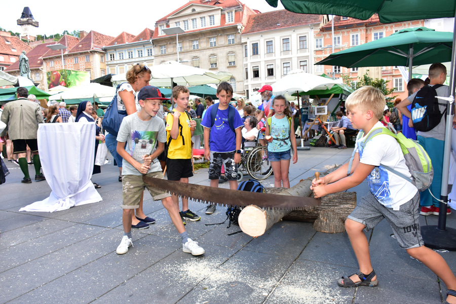 170621 lak waldfest graz 2017 120
                                                