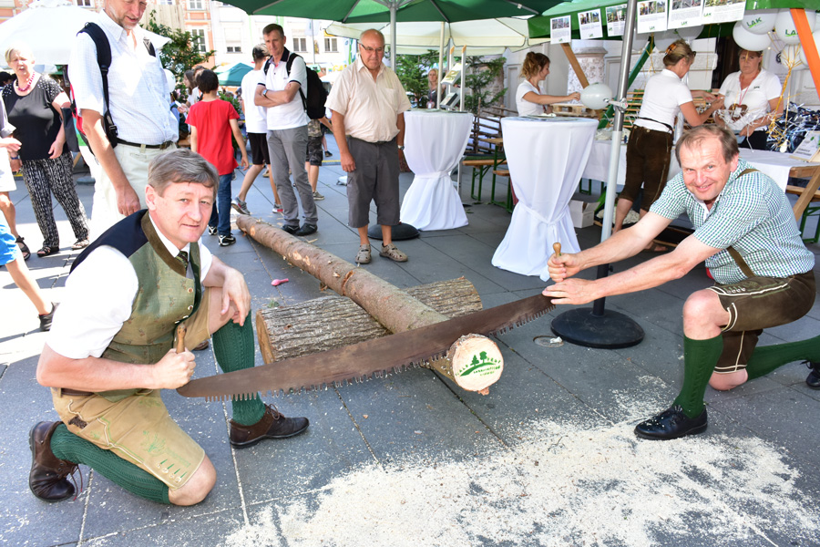 170621 lak waldfest graz 2017 125
                                                