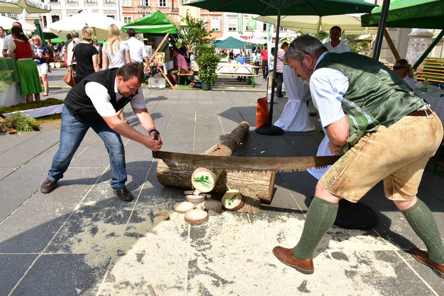 170621 lak waldfest graz 2017 140
                                                