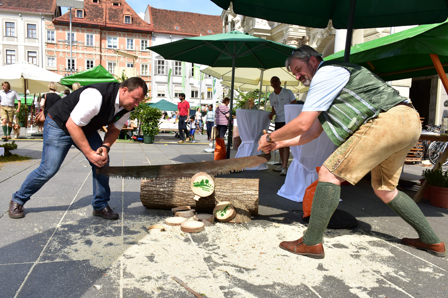 170621 lak waldfest graz 2017 141
                                                