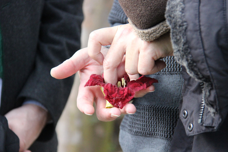 180405 botanischer-garten 005
                                                