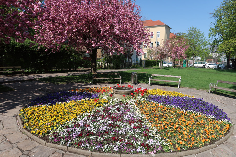 190416 lak blumenschmuck 02
                                                