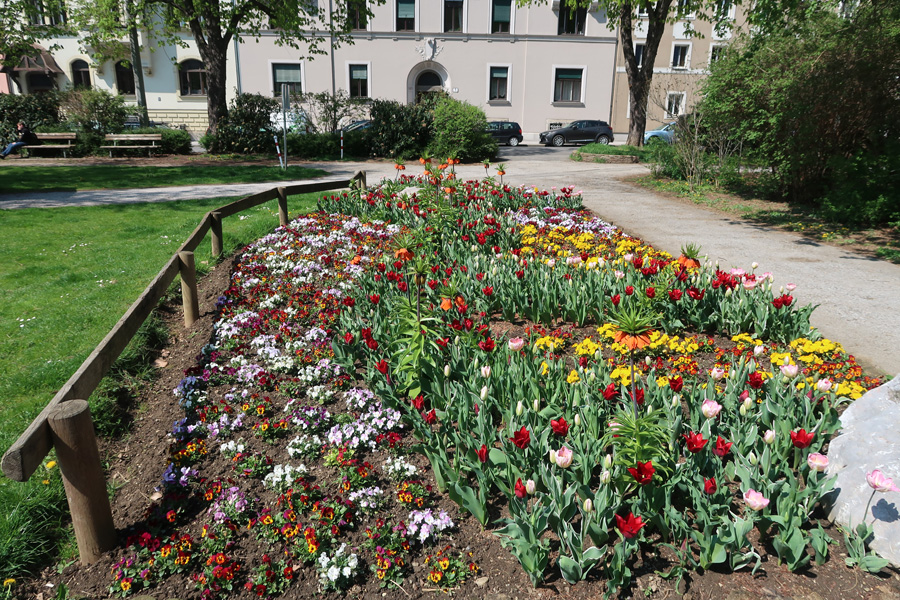 190416 lak blumenschmuck 04
                                                