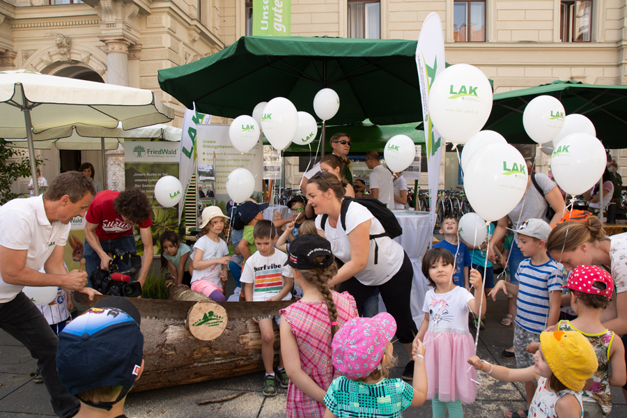 190613 waldfest2019037
                                                