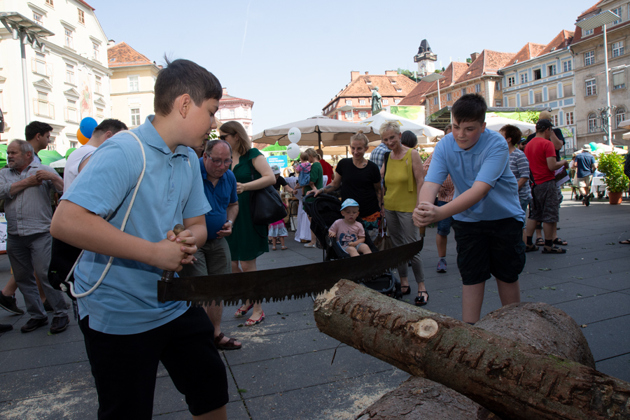 190613 waldfest2019083
                                                