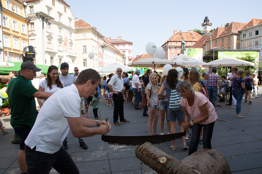 190613 waldfest2019092
                                                