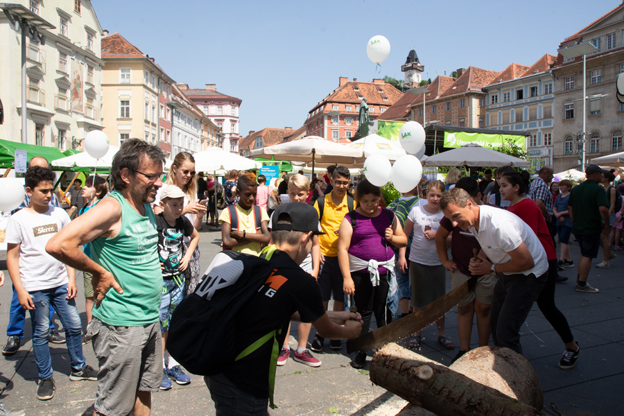 190613 waldfest2019119
                                                