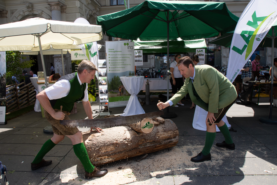 190613 waldfest2019127
                                                