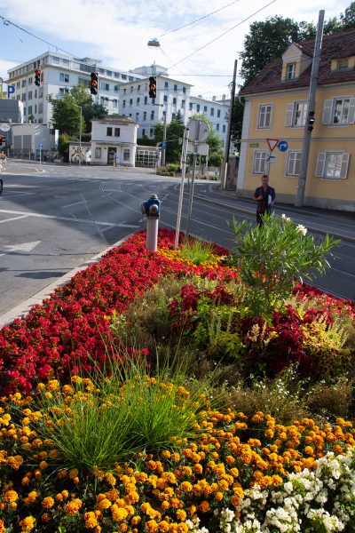 190723 blumenschmuckwettbewerb080
                                                