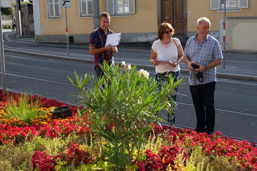 190723 blumenschmuckwettbewerb086
                                                