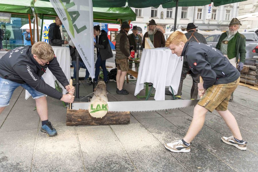 waldfest2024 1
                                                