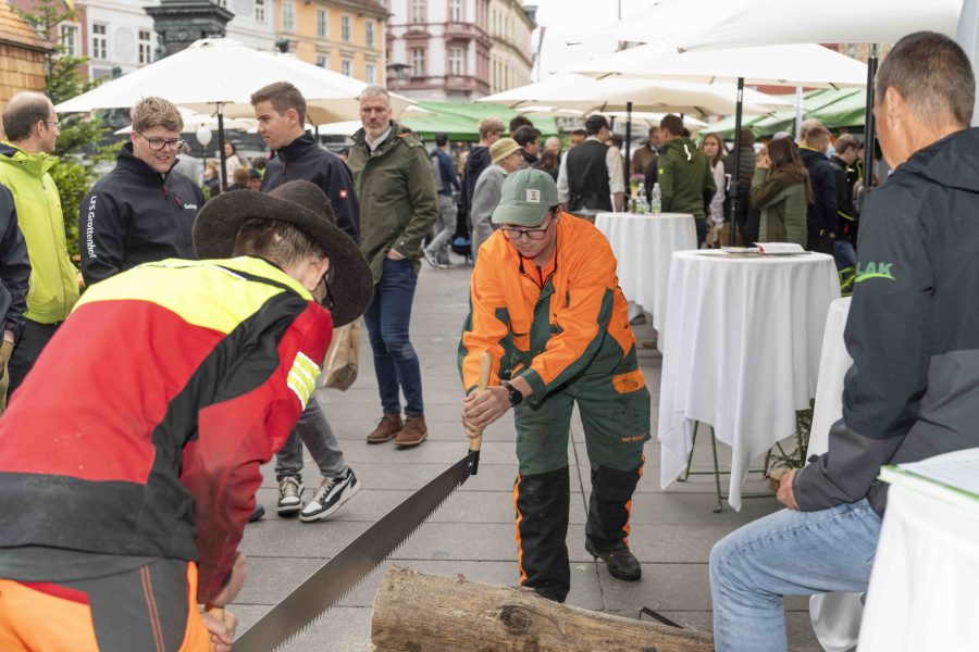 waldfest2024 10
                                                