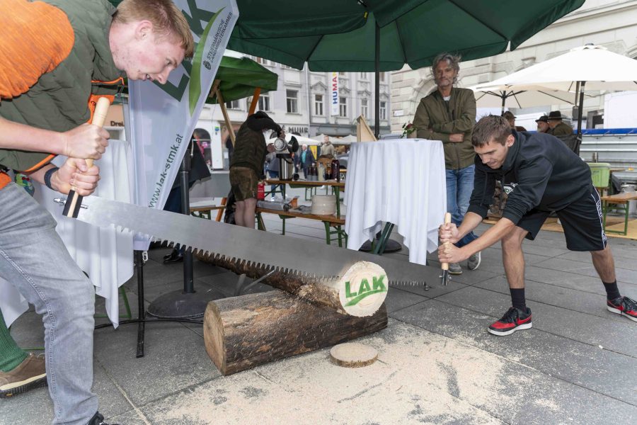 waldfest2024 22
                                                