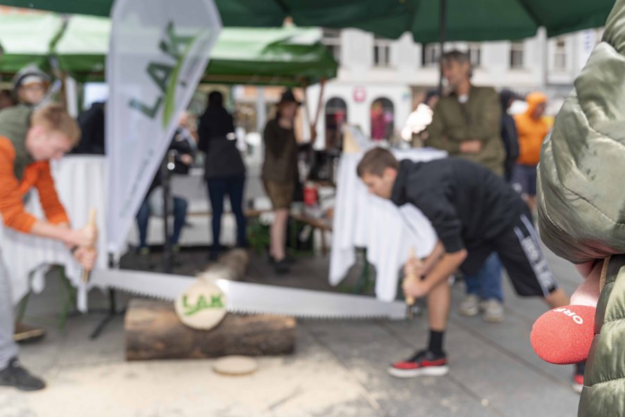 waldfest2024 23
                                                