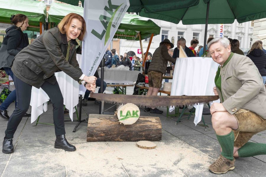 waldfest2024 28
                                                