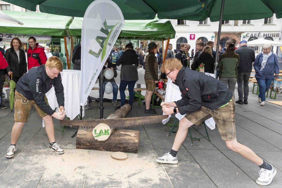 waldfest2024 29
                                                