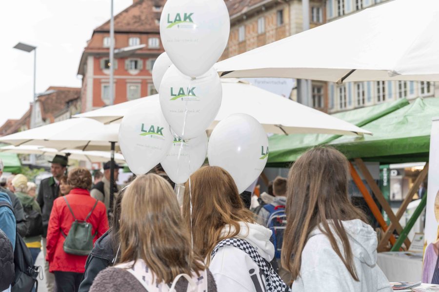 waldfest2024 36
                                                