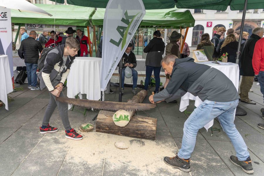waldfest2024 37
                                                