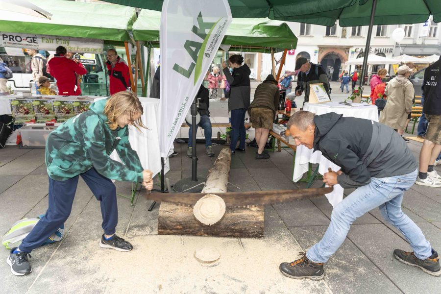 waldfest2024 39
                                                