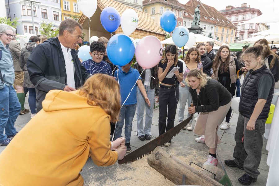 waldfest2024 40
                                                