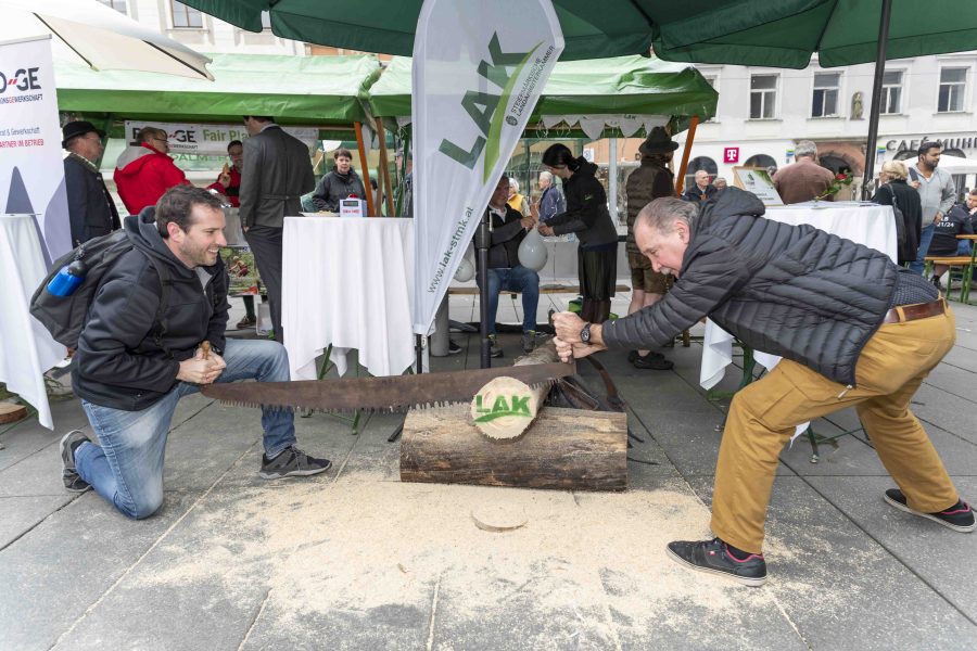 waldfest2024 41
                                                