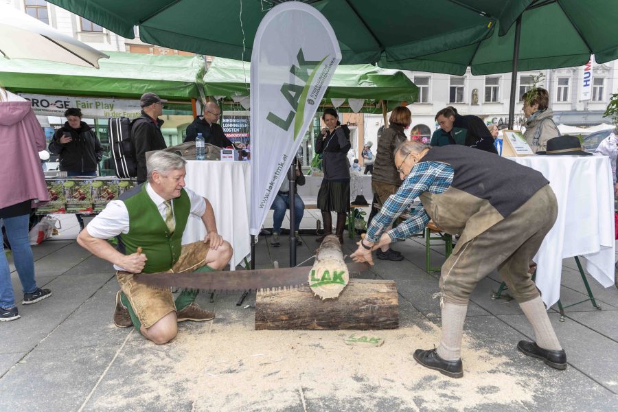 waldfest2024 44
                                                