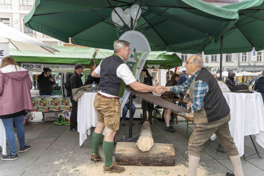 waldfest2024 45
                                                