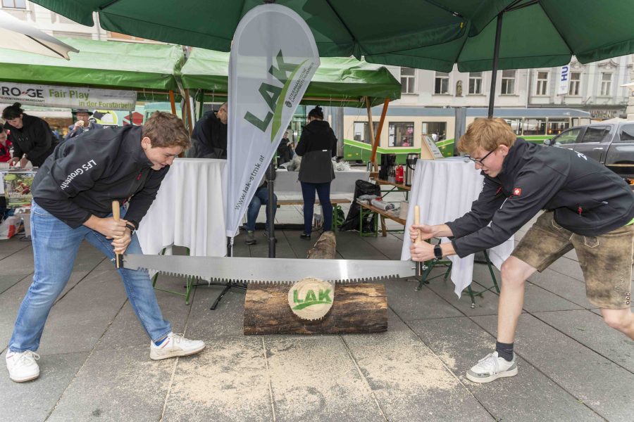 waldfest2024 5
                                                
