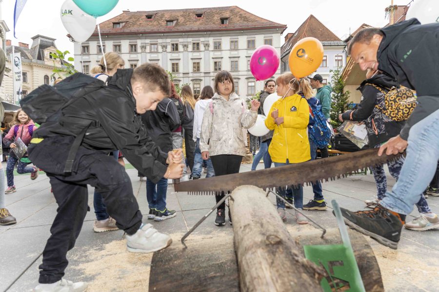 waldfest2024 50
                                                