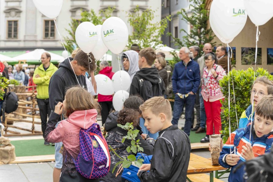 waldfest2024 53
                                                