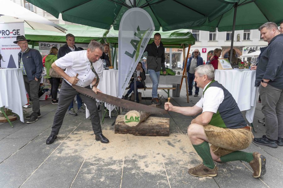 waldfest2024 66
                                                